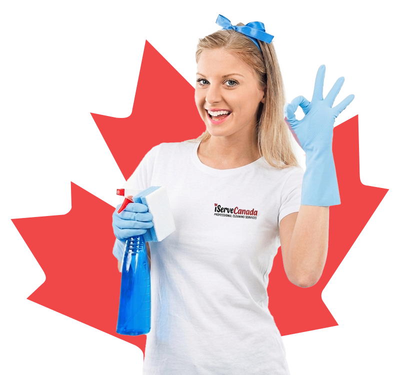 Professional iServeCanada Cleaner